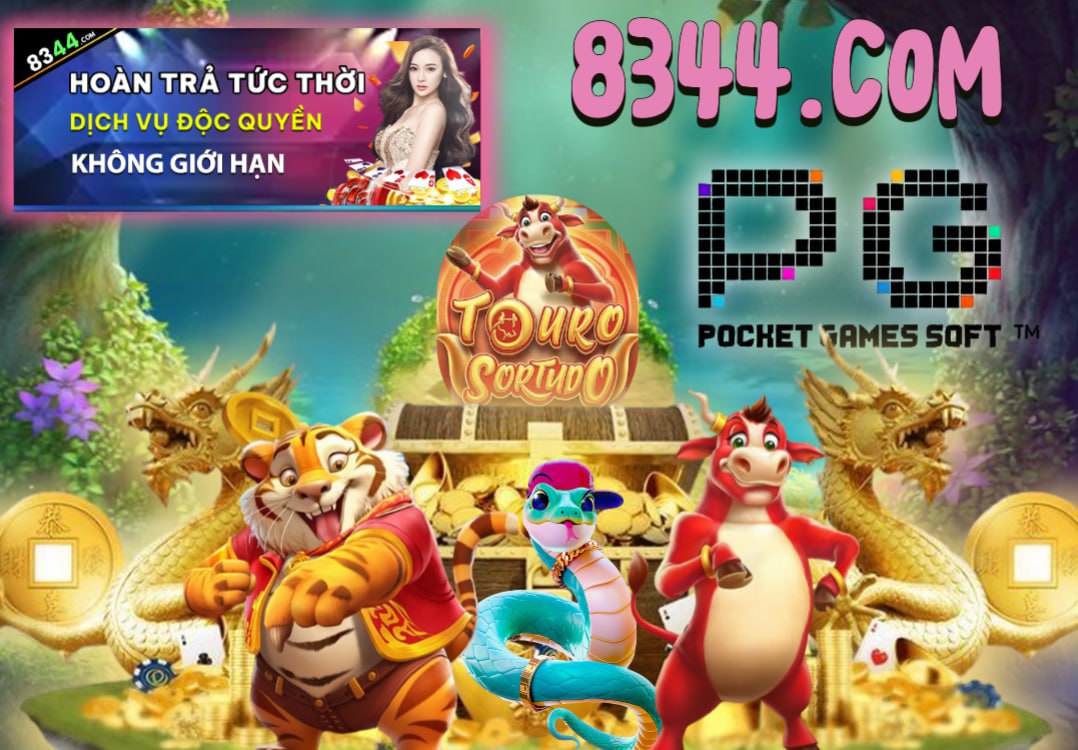 Hình ảnh quảng cáo của xibet hiển thị nền tảng và các lợi ích